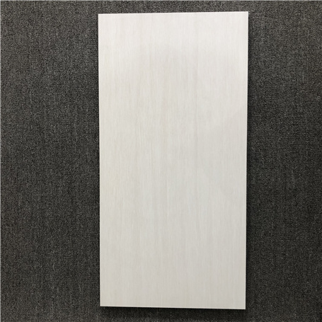 400*800内墙砖